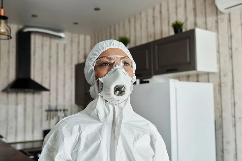 Mold Inspection